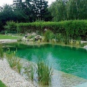 biopiscina biopiscina