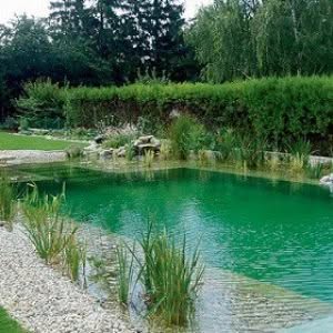 biopiscina